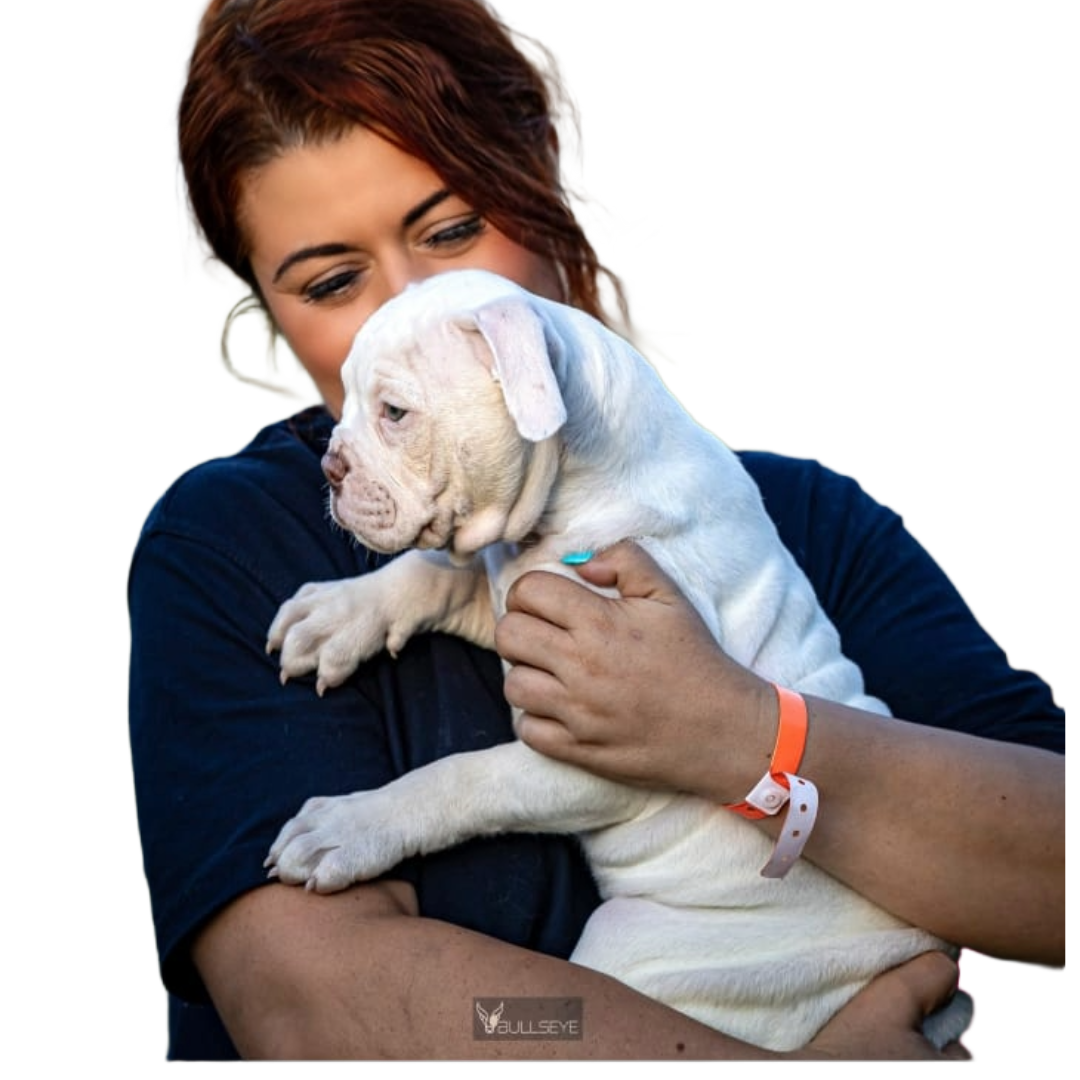 Danielle holding a puppy